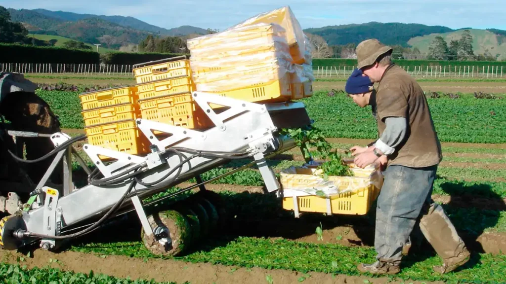A single-bed harvesting machine at work